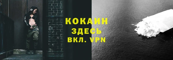 ГАЛЛЮЦИНОГЕННЫЕ ГРИБЫ Пересвет