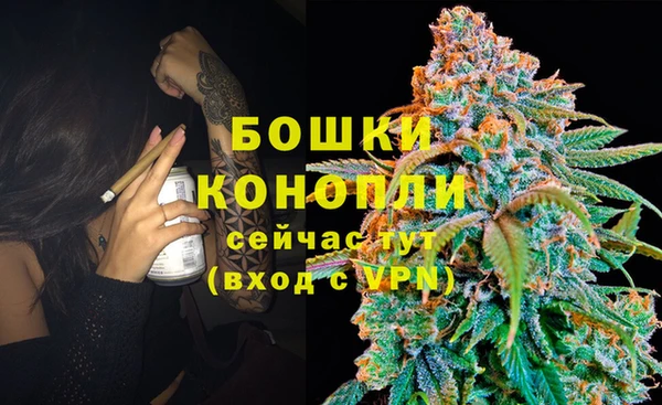 ГАЛЛЮЦИНОГЕННЫЕ ГРИБЫ Пересвет