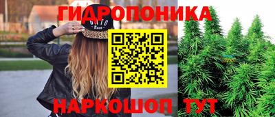 мдпв Кинель