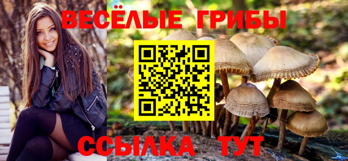 Галлюциногенные грибы MAGIC MUSHROOMS  Вологда 