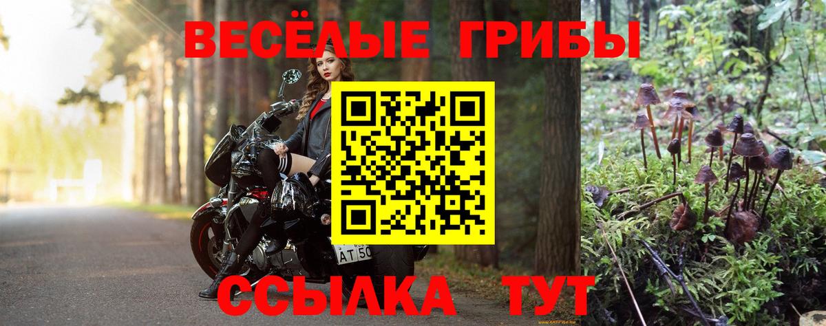 Галлюциногенные грибы мухоморы  Вход с VPN  Вологда 
