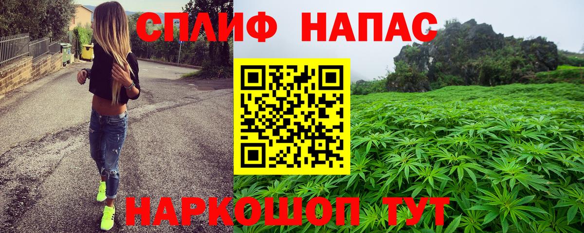 Бошки Шишки гибрид Вологда